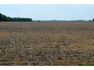 Property photo 50 - FARM & LAND AUCTION - 125+/- ACRES OFFERED IN 5 TRACTS IN EAST ALLEN COUNTY, INDIANA